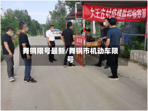舞钢限号最新/舞钢市机动车限号