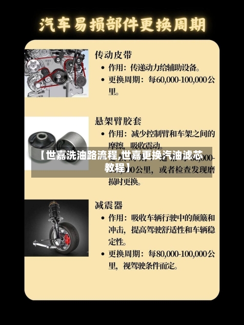 【世嘉洗油路流程,世嘉更换汽油滤芯教程】-第2张图片