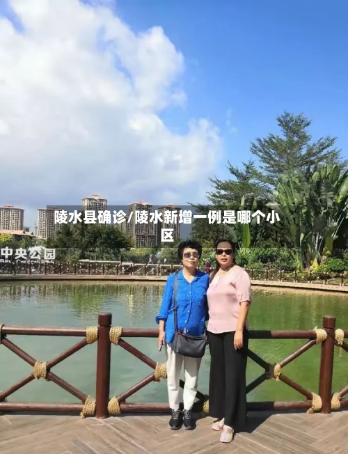 陵水县确诊/陵水新增一例是哪个小区