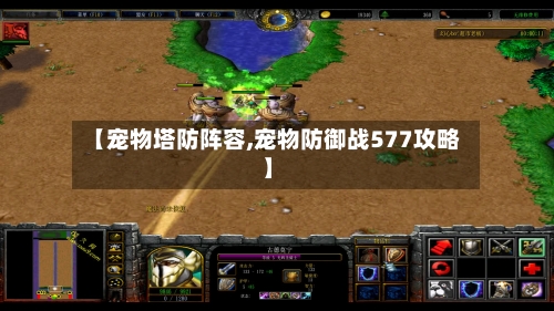 【宠物塔防阵容,宠物防御战577攻略】