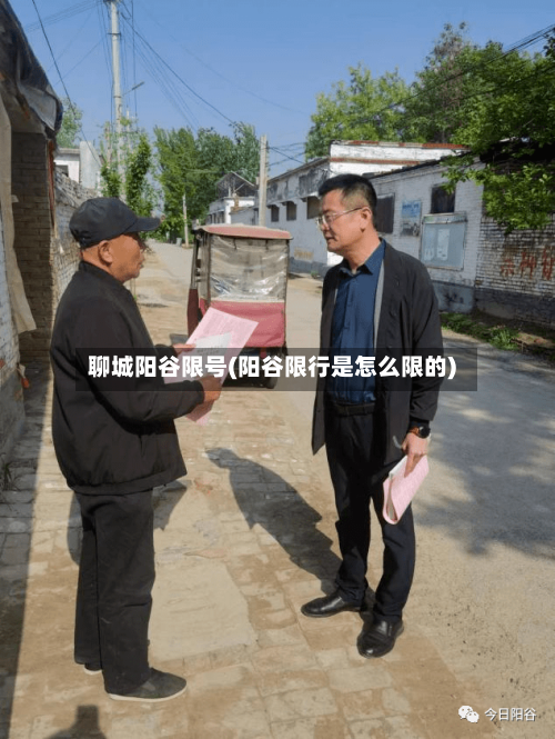 聊城阳谷限号(阳谷限行是怎么限的)