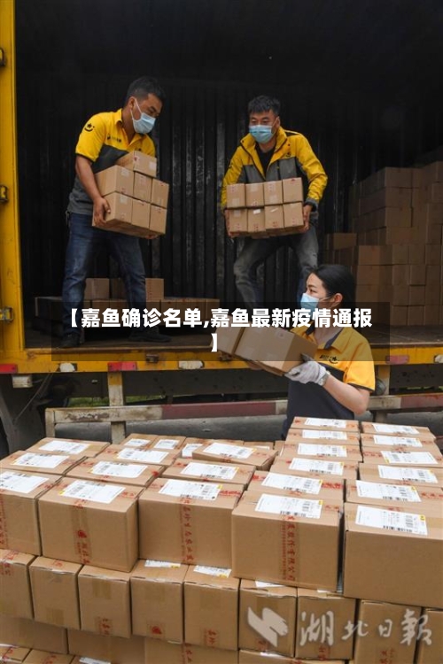 【嘉鱼确诊名单,嘉鱼最新疫情通报】-第3张图片