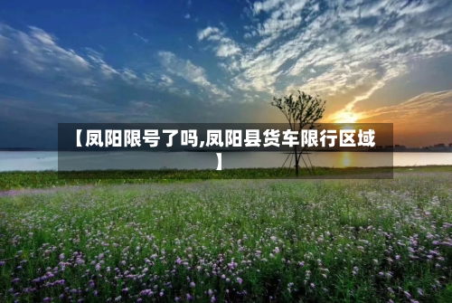 【凤阳限号了吗,凤阳县货车限行区域】-第2张图片