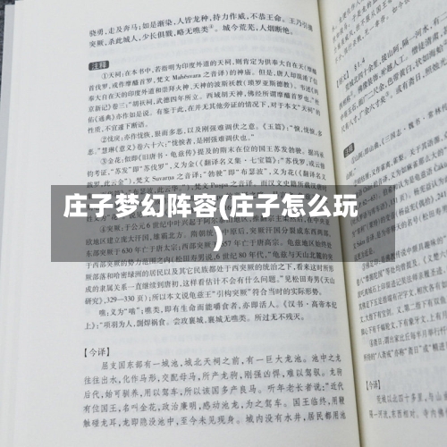 庄子梦幻阵容(庄子怎么玩)