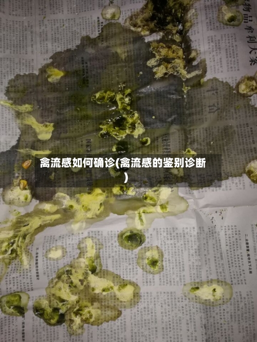 禽流感如何确诊(禽流感的鉴别诊断)-第2张图片