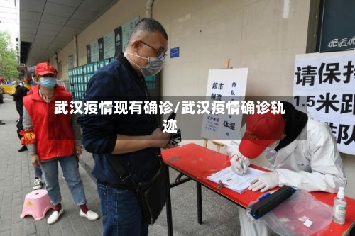 武汉疫情现有确诊/武汉疫情确诊轨迹-第2张图片