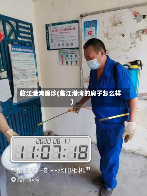 临江港湾确诊(临江港湾的房子怎么样)-第2张图片