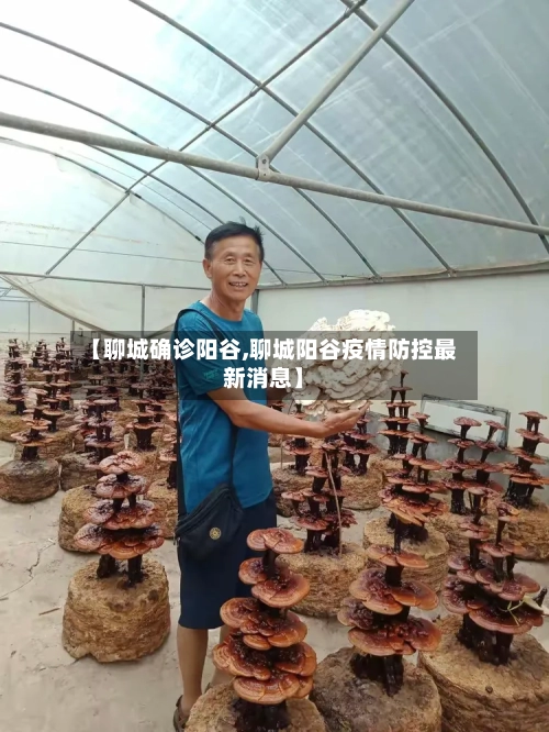 【聊城确诊阳谷,聊城阳谷疫情防控最新消息】-第2张图片