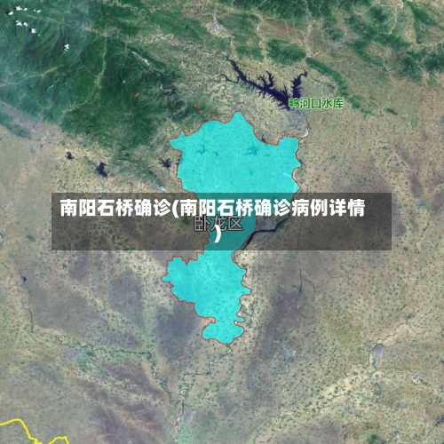 南阳石桥确诊(南阳石桥确诊病例详情)-第3张图片