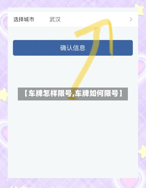 【车牌怎样限号,车牌如何限号】-第2张图片