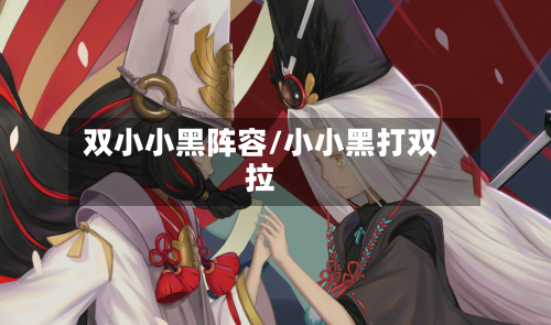 双小小黑阵容/小小黑打双拉