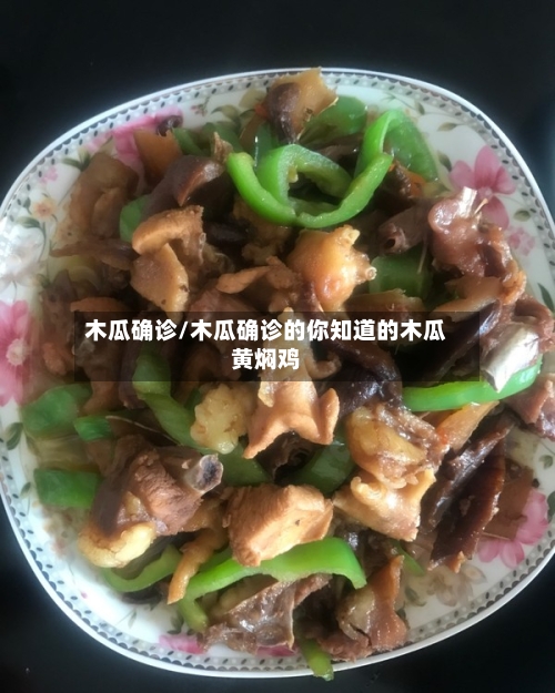 木瓜确诊/木瓜确诊的你知道的木瓜黄焖鸡-第3张图片