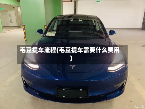 毛豆提车流程(毛豆提车需要什么费用)