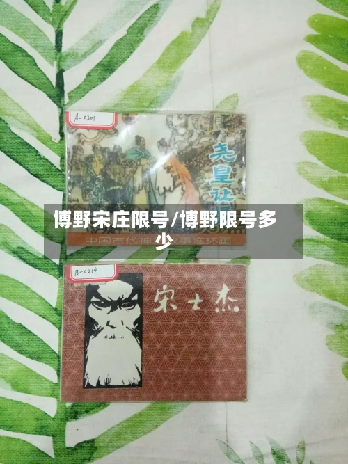 博野宋庄限号/博野限号多少