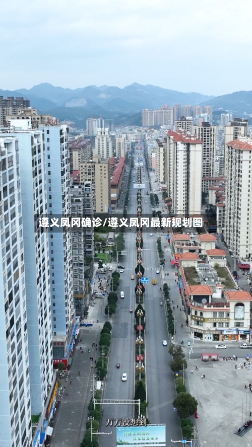 遵义凤冈确诊/遵义凤冈最新规划图-第2张图片