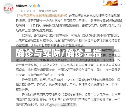 确诊与实际/确诊是指