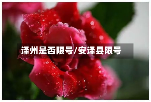 泽州是否限号/安泽县限号