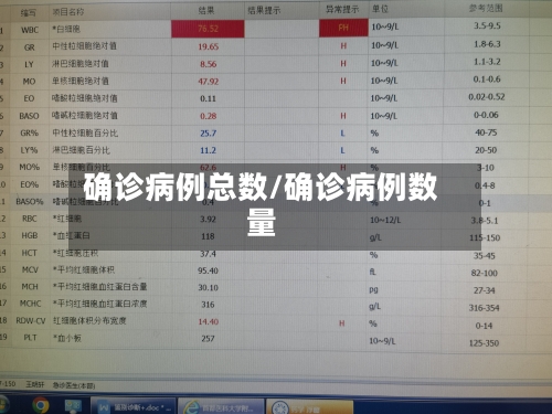 确诊病例总数/确诊病例数量