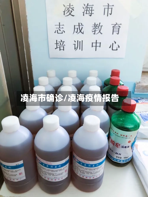 凌海市确诊/凌海疫情报告