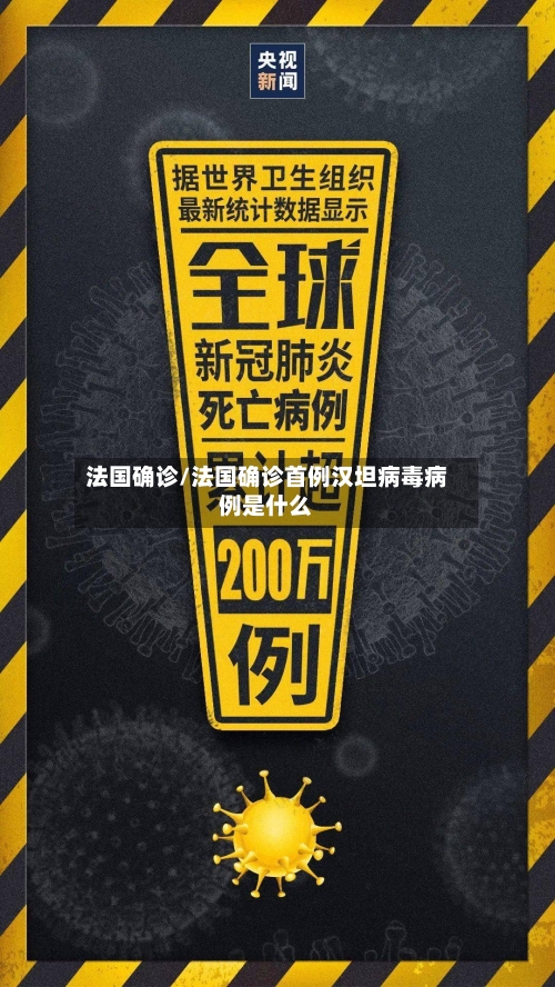 法国确诊/法国确诊首例汉坦病毒病例是什么