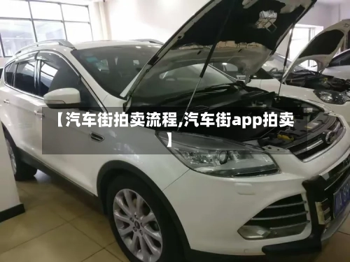 【汽车街拍卖流程,汽车街app拍卖】-第2张图片