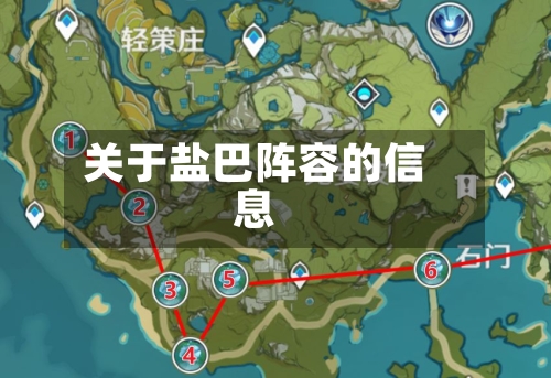 关于盐巴阵容的信息