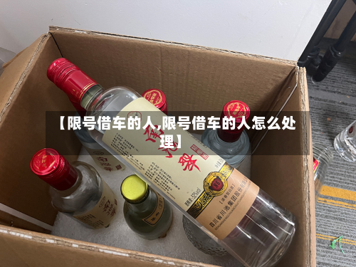 【限号借车的人,限号借车的人怎么处理】-第2张图片