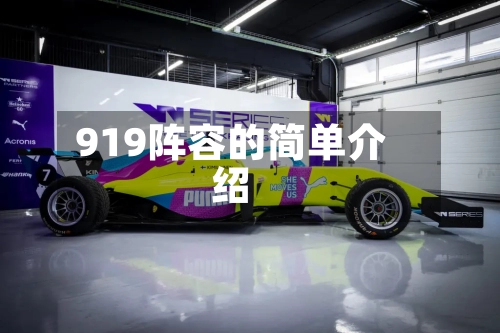 919阵容的简单介绍-第3张图片