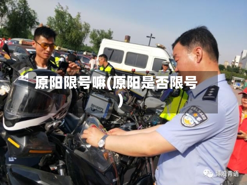 原阳限号嘛(原阳是否限号)-第2张图片