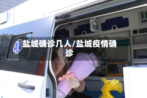 盐城确诊几人/盐城疫情确诊-第2张图片