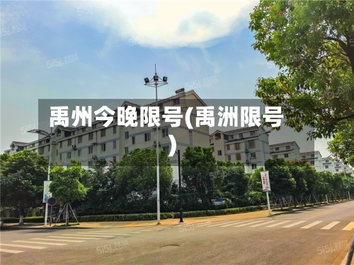 禹州今晚限号(禹洲限号)
