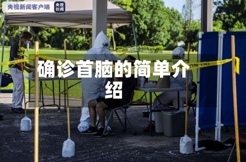 确诊首脑的简单介绍-第3张图片