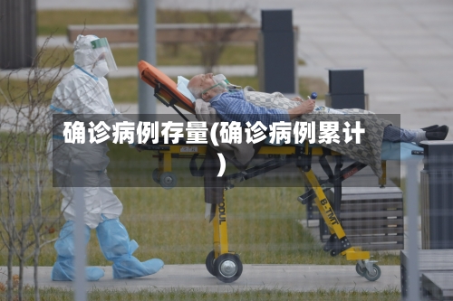确诊病例存量(确诊病例累计)