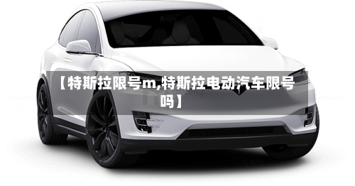 【特斯拉限号m,特斯拉电动汽车限号吗】-第3张图片