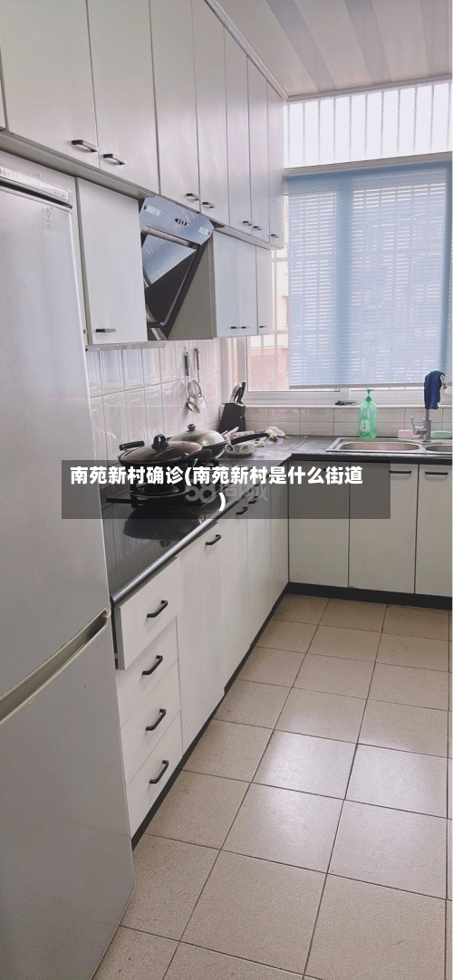 南苑新村确诊(南苑新村是什么街道)-第2张图片