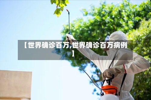 【世界确诊百万,世界确诊百万病例】-第2张图片