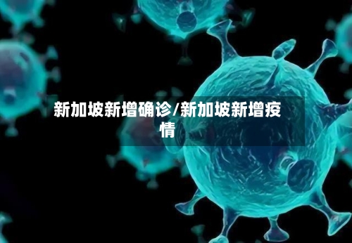 新加坡新增确诊/新加坡新增疫情-第2张图片