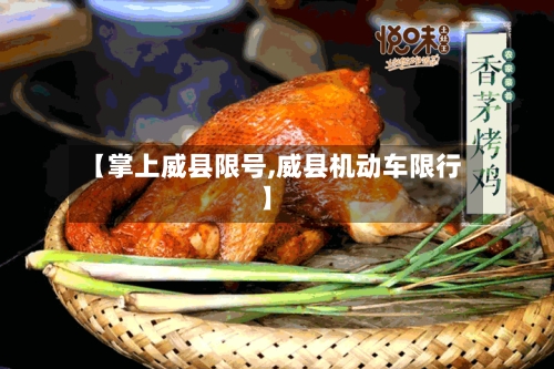 【掌上威县限号,威县机动车限行】-第2张图片