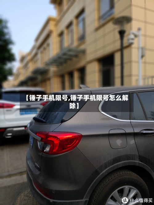 【锤子手机限号,锤子手机限号怎么解除】-第2张图片
