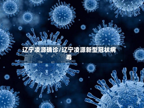 辽宁凌源确诊/辽宁凌源新型冠状病毒-第2张图片