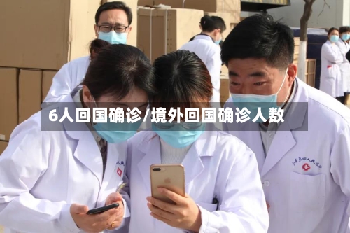 6人回国确诊/境外回国确诊人数-第2张图片