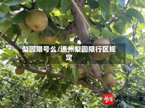 梨园限号么/通州梨园限行区规定
