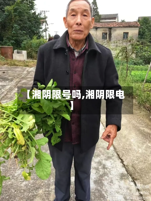 【湘阴限号吗,湘阴限电】-第3张图片