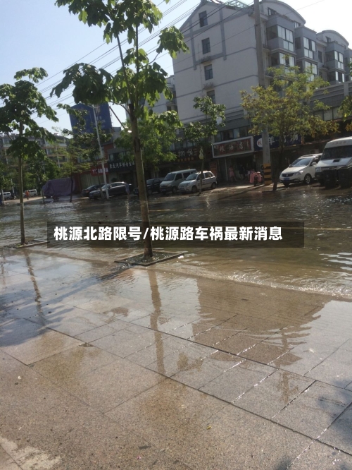 桃源北路限号/桃源路车祸最新消息-第2张图片