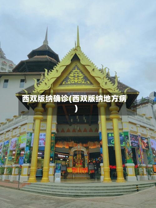 西双版纳确诊(西双版纳地方病)-第3张图片