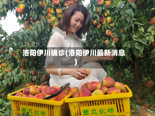 洛阳伊川确诊(洛阳伊川最新消息)-第3张图片