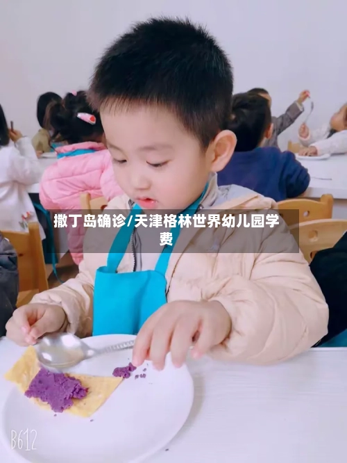 撒丁岛确诊/天津格林世界幼儿园学费-第3张图片