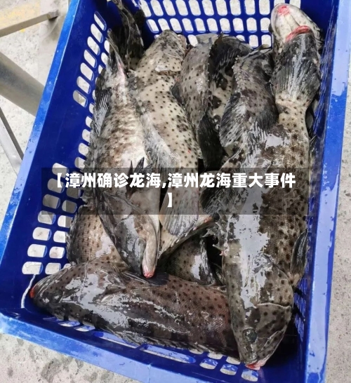 【漳州确诊龙海,漳州龙海重大事件】-第2张图片
