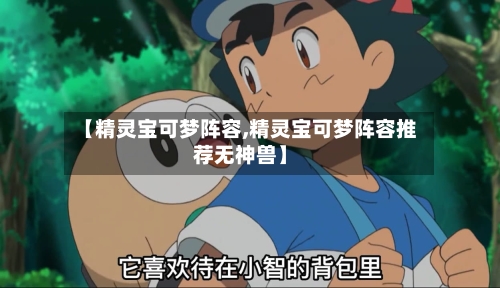 【精灵宝可梦阵容,精灵宝可梦阵容推荐无神兽】-第2张图片
