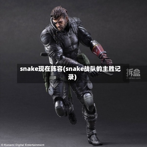 snake现在阵容(snake战队的主胜记录)-第3张图片